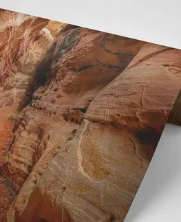 Samolepící tapety Samolepící fototapeta cestička Grand Canyonom