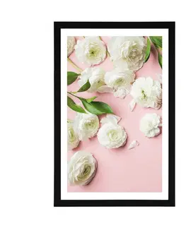 Květiny Plakát s paspartou růže v romantickém provedení