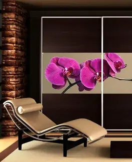 Tapety na nábytek Nálepka na skříň - Fialová orchidej