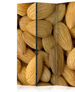 Paravány Paraván Tasty almonds Dekorhome 135x172 cm (3-dílný)