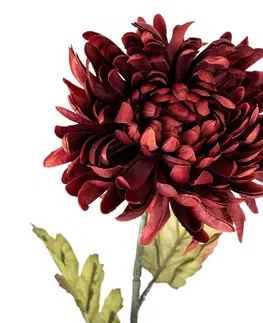 Květiny Umělá chryzantéma, v. 74 cm, vínová