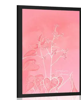 Motivy z naší dílny Plakát úchvatná rostlina Epimedium alpinum