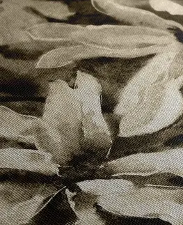 Černobílé obrazy Obraz rozkvetlý akvarelový strom v sépiovém provedení
