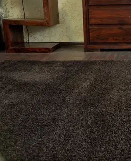 Koberce a koberečky Dywany Lusczow Kusový koberec SHAGGY MICRO hnědý, velikost 120x170