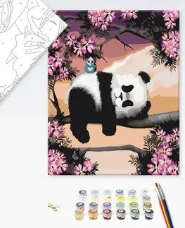 Zvířata Malování podle čísel ospalá panda