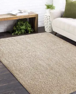 Koberce SHAGGY Stylový koberec v béžové barvě