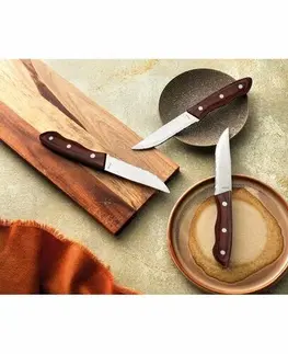Příbory Amefa Sada steakových nožů Hercule, 4 ks