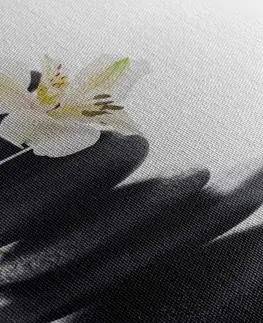 Obrazy Feng Shui Obraz Zen kameny s lilií