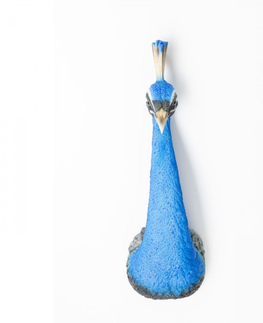 Dekorativní předměty KARE Design Nástěnná dekorace Peacock