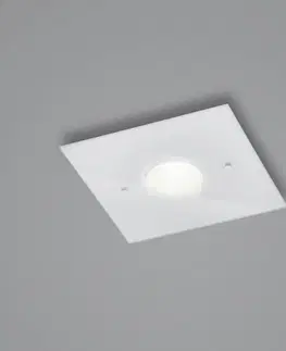 Stropní svítidla Helestra Helestra Nomi LED stropní světlo 23x23cm dim bílá