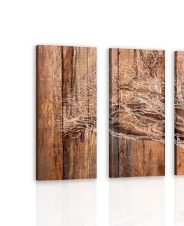 Obrazy přírody a krajiny 5-dílný obraz strom na dřevěném podkladu