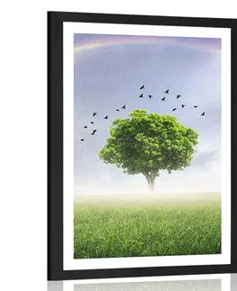 Příroda Plakát s paspartou osamělý strom na louce