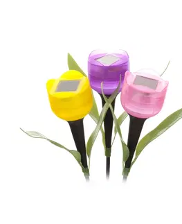 Zahradní lampy ACTIVER Lampa solární tulipán 30,5 cm, assort