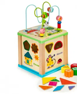 Dřevěné hračky Dřevěná edukační kostka EcoToys House hnědá