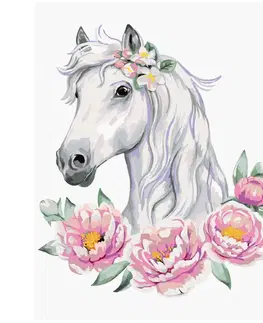 Hračky ZUTY - Diamantové malování (bez rámu) - Bílý kůň s pivoňkami
