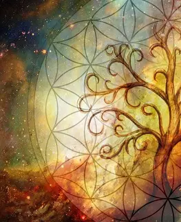 Obrazy Feng Shui Obraz strom s květinou života