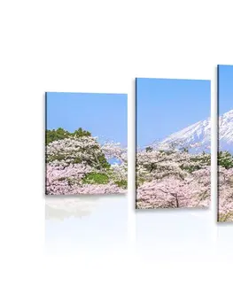 Obrazy přírody a krajiny 5-dílný obraz sopka Fuji