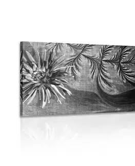 Černobílé obrazy Obraz květiny na černobílém pozadí