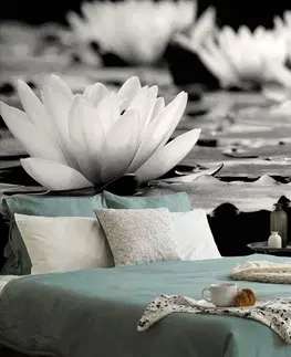 Samolepící tapety Samolepící fototapeta černobílý lotosový květ