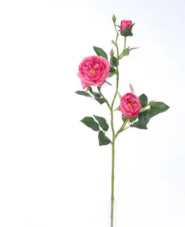 Květiny Umělá anglická růže růžová, 69 cm