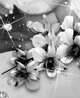 Černobílé obrazy Obraz černobílé květiny na abstraktním pozadí