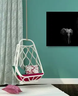 Černobílé obrazy Obraz malý slon a slonice