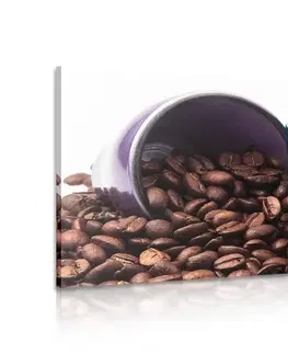 Obrazy jídla a nápoje Obraz šálky s kávovými zrnky