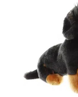 Hračky LAMPS - Pes jezevčík plyšový 30cm
