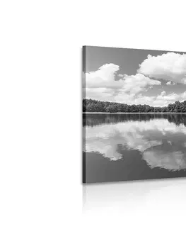 Černobílé obrazy Obraz příroda v letním období v černobílém provedení