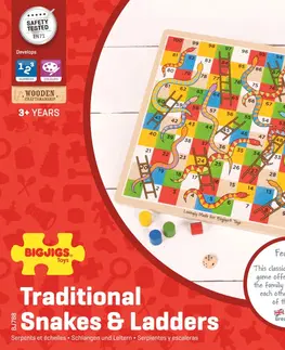 Dřevěné hračky Bigjigs Toys Společenská hra SNAKES 2 vícebarevná