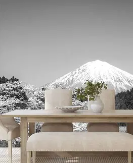 Tapety příroda Fototapeta hora Fuji v černobílém