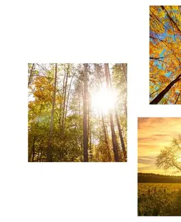 Sestavy obrazů Set obrazů kouzlo podzimní krajiny