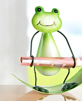 Hry, zábava a dárky Nosič peněz "žabka"