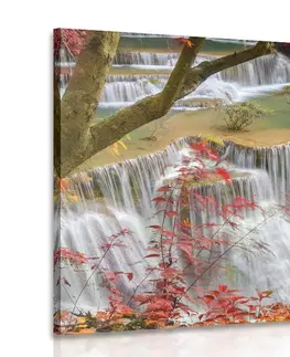 Obrazy vodopád Obraz lesní vodopád