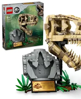 Hračky LEGO LEGO -  Jurassic World 76964 Dinosauří fosilie: Lebka T-Rexa