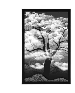 Černobílé Plakát černobílý strom zalitý oblaky