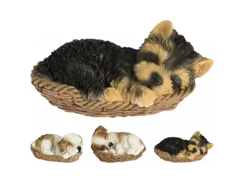 Sošky, figurky - zvířata PROHOME - Dekorace pes v košíku různé druhy