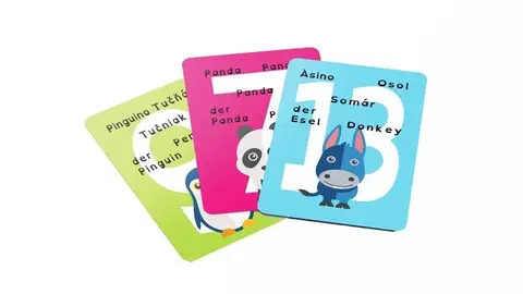 Hračky společenské hry LAUKO PROMOTION - Karty vědomostní 5-jazyčné