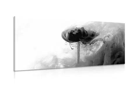 Černobílé obrazy Obraz zajímavý květ v černobílém provedení