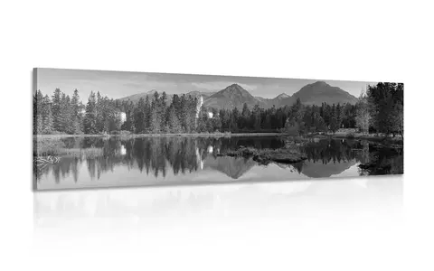 Černobílé obrazy Obraz nádherné panorama hor u jezera v černobílém provedení