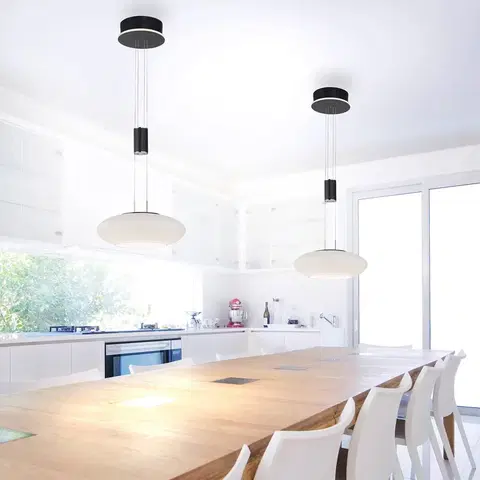 Inteligentní lustry Q-Smart-Home Paul Neuhaus Q-ETIENNE LED závěsné světlo 1x černá