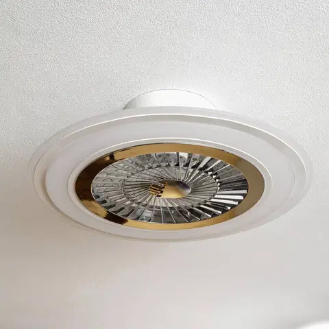 Stropní ventilátory se světlem Starluna Starluna Leoman LED stropní ventilátor, bílá