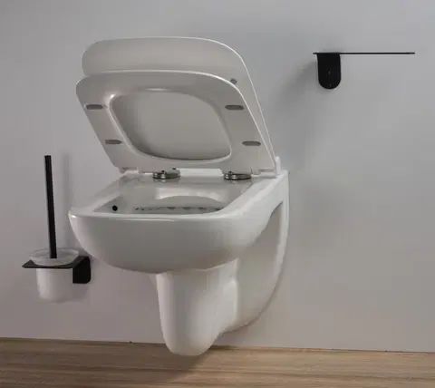Koupelna HOPA Závěsné WC ADATTO RIMLESS bez sedátka OLKLT2005EBS