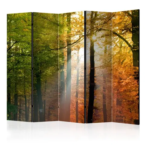Paravány Paraván Forest Colours Dekorhome 225x172 cm (5-dílný)
