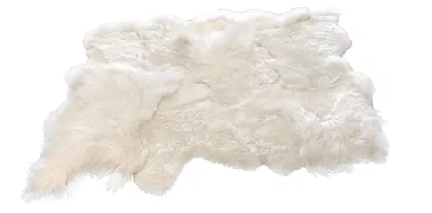 Koberce a koberečky Bílý koberec z ovčí kůže Sheep white - 200*160*12cm J-Line by Jolipa 18706