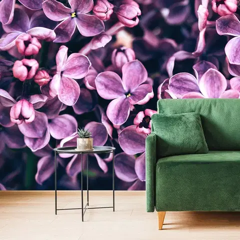 Samolepící tapety Samolepící fototapeta fialové květy šeříku