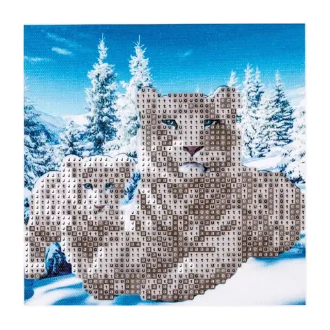 Hračky CENTRUM LITVA - Diamantová mozaika 5D Tiger (20x20 cm)