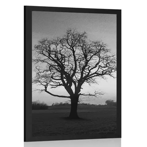 Černobílé Plakát okouzlující strom v černobílém provedení