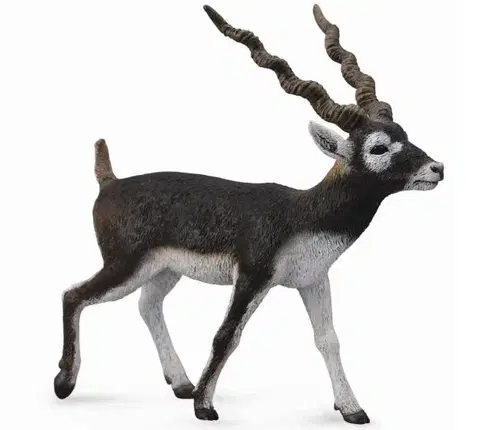 Hračky Collecte - Antilopa jelení