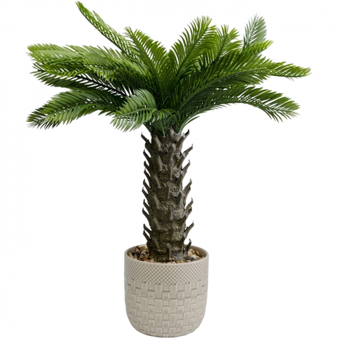 Umělé rostliny KARE Design Dekorativní rostlina Cycas 70cm